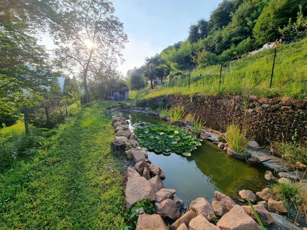 La Nave B&B Monteggio Экстерьер фото