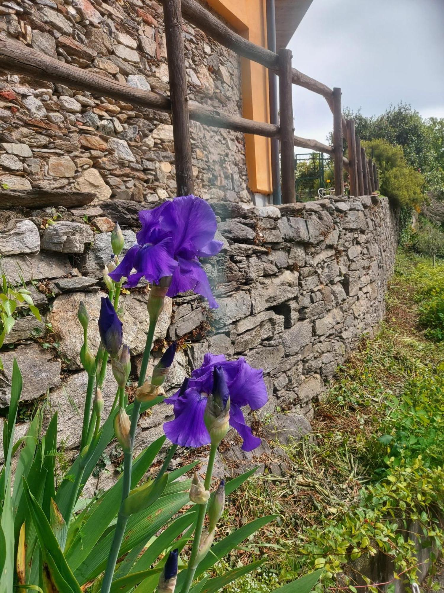 La Nave B&B Monteggio Экстерьер фото